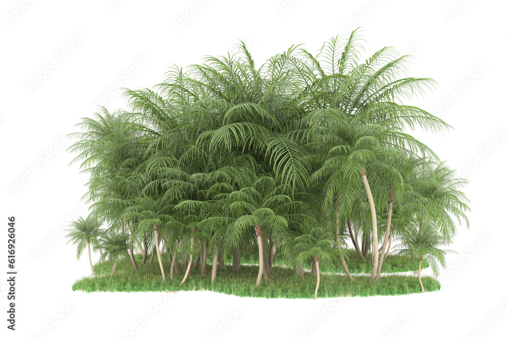 Tropical forest isolated on transparent background. 3d rendering - illustration