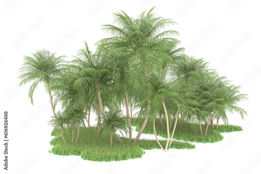 Tropical forest isolated on transparent background. 3d rendering - illustration