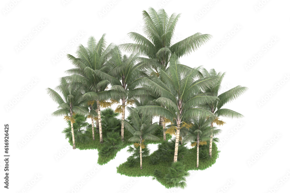 Tropical forest isolated on transparent background. 3d rendering - illustration