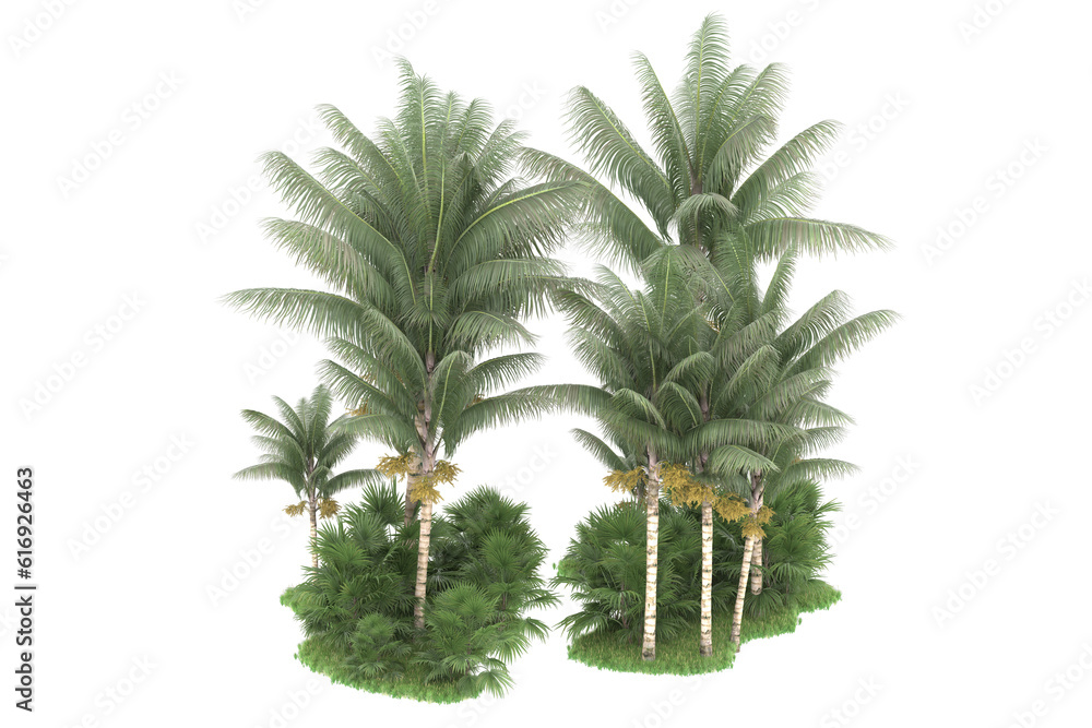 Tropical forest isolated on transparent background. 3d rendering - illustration