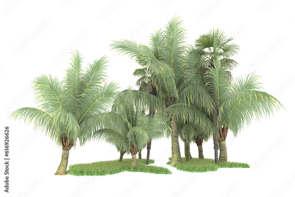 Tropical forest isolated on transparent background. 3d rendering - illustration