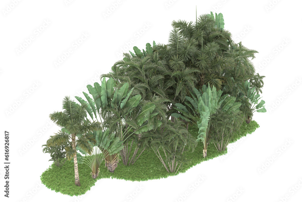 Tropical forest isolated on transparent background. 3d rendering - illustration