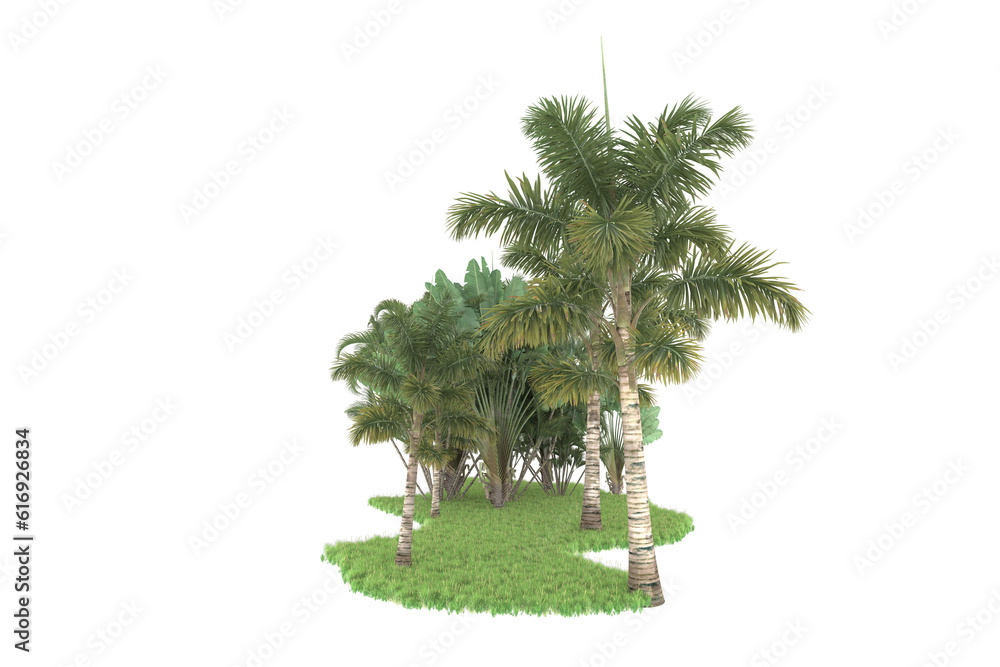 Tropical forest isolated on transparent background. 3d rendering - illustration