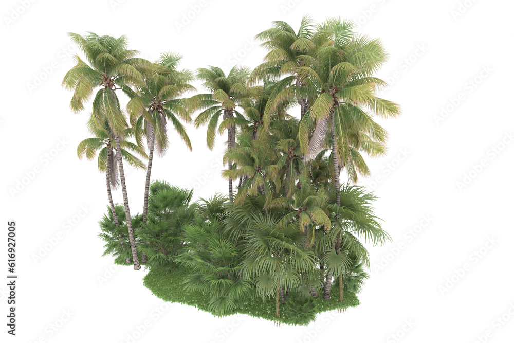 Tropical forest isolated on transparent background. 3d rendering - illustration