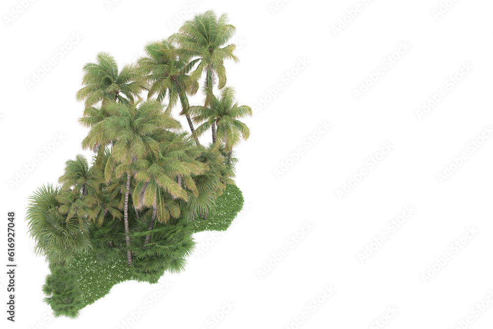 Tropical forest isolated on transparent background. 3d rendering - illustration