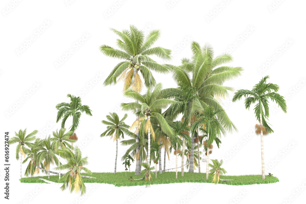 Tropical forest isolated on transparent background. 3d rendering - illustration