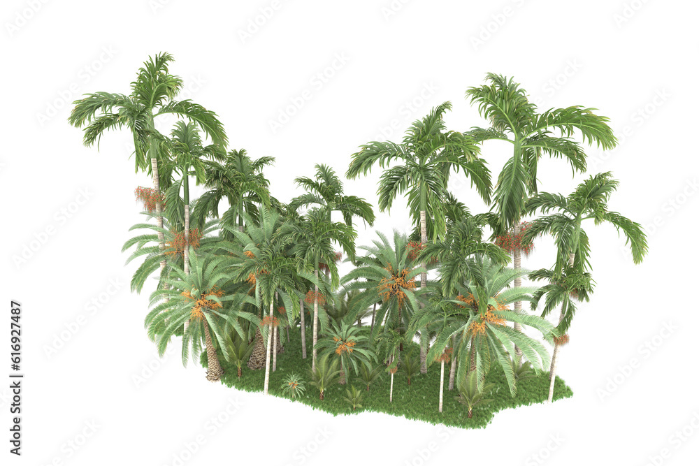 Tropical forest isolated on transparent background. 3d rendering - illustration