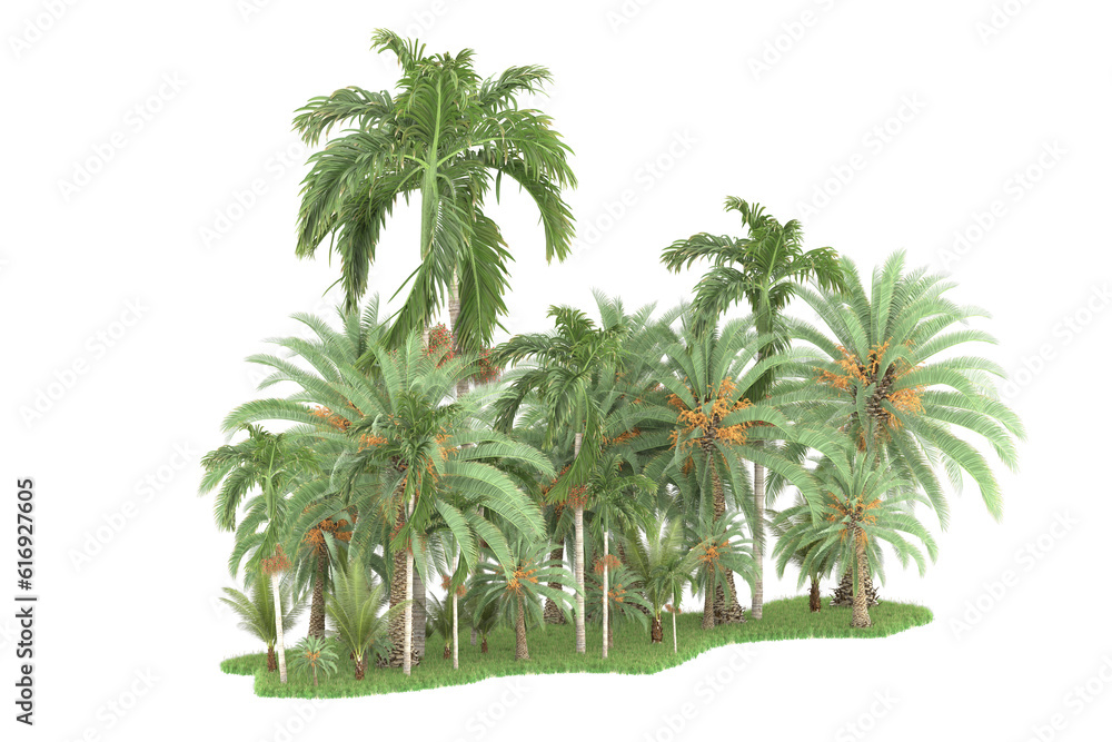 Tropical forest isolated on transparent background. 3d rendering - illustration