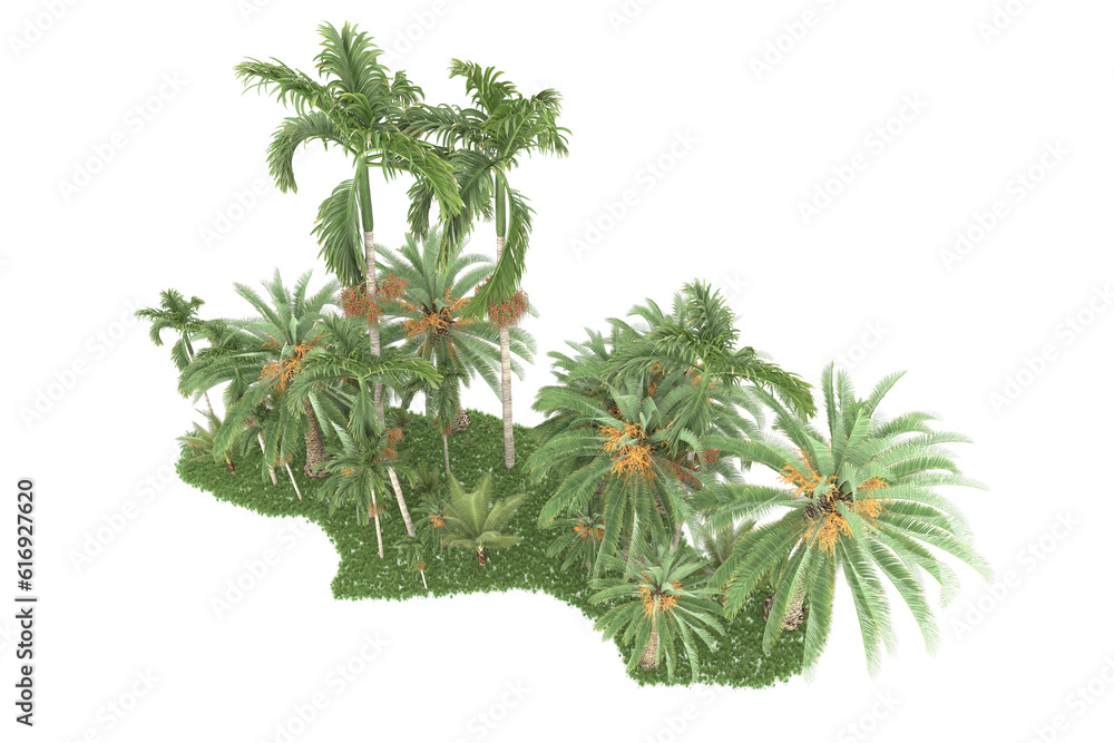 Tropical forest isolated on transparent background. 3d rendering - illustration