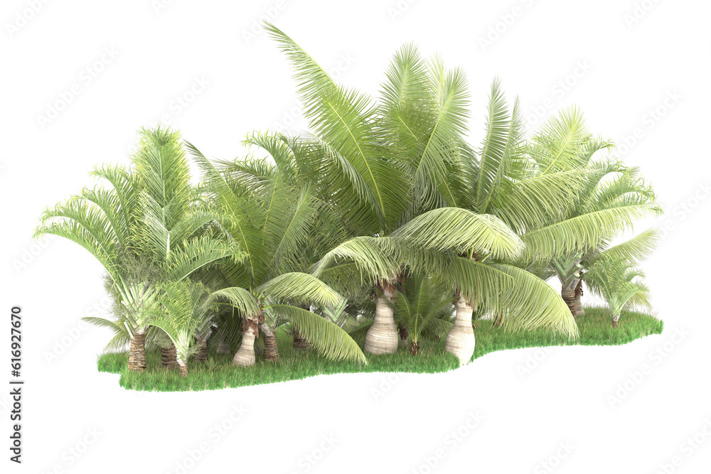 Tropical forest isolated on transparent background. 3d rendering - illustration