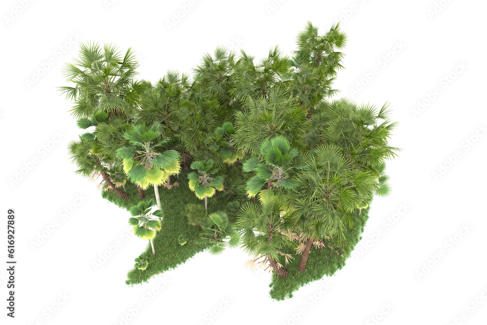 Tropical forest isolated on transparent background. 3d rendering - illustration