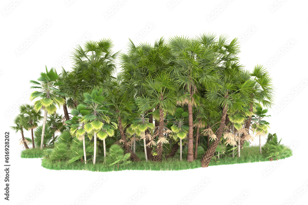 Tropical forest isolated on transparent background. 3d rendering - illustration