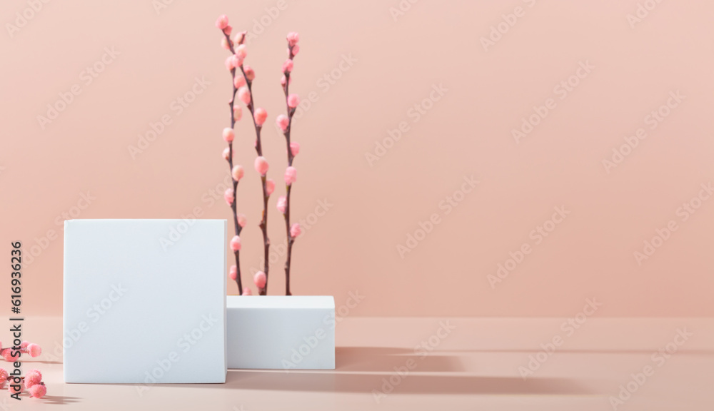 Abstract background with various geometric shapes and spring branches for product presentation. Podi