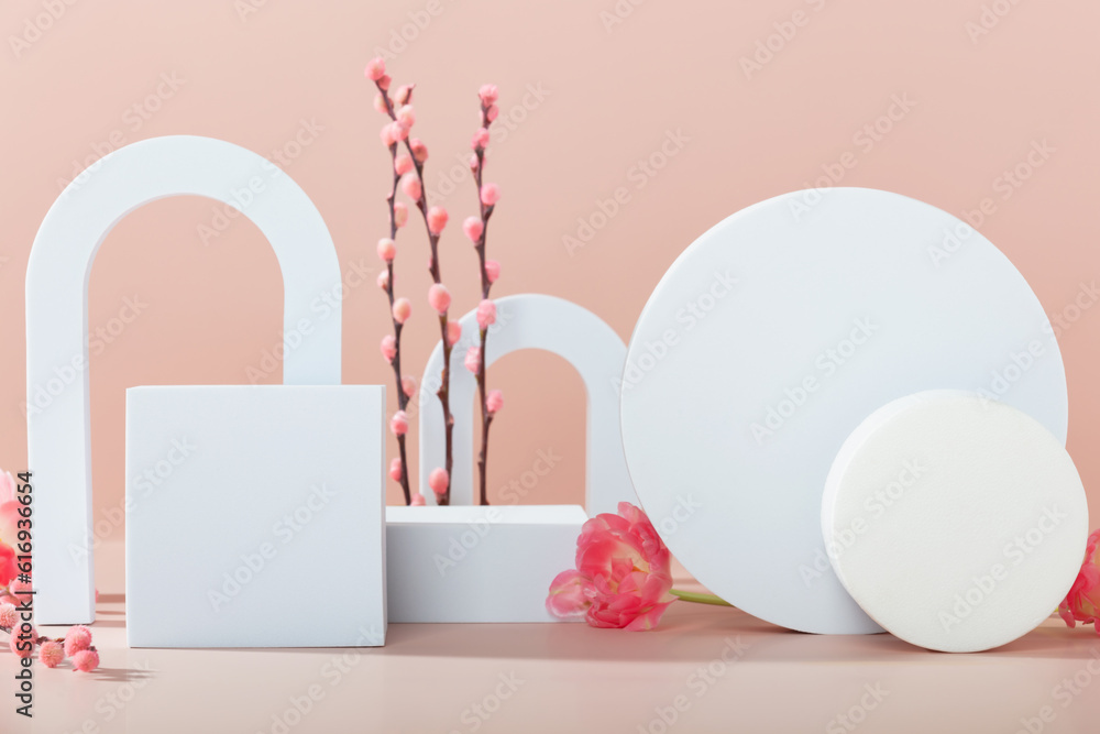 Abstract background with various geometric shapes and spring branches for product presentation. Podi