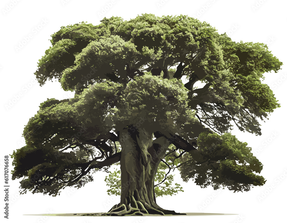 green tree. Beautiful big tree. tree on white background.