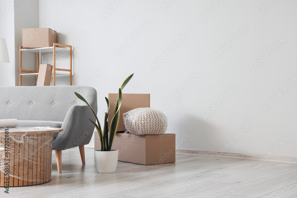 Sofa with cardboard boxes in living room on moving day