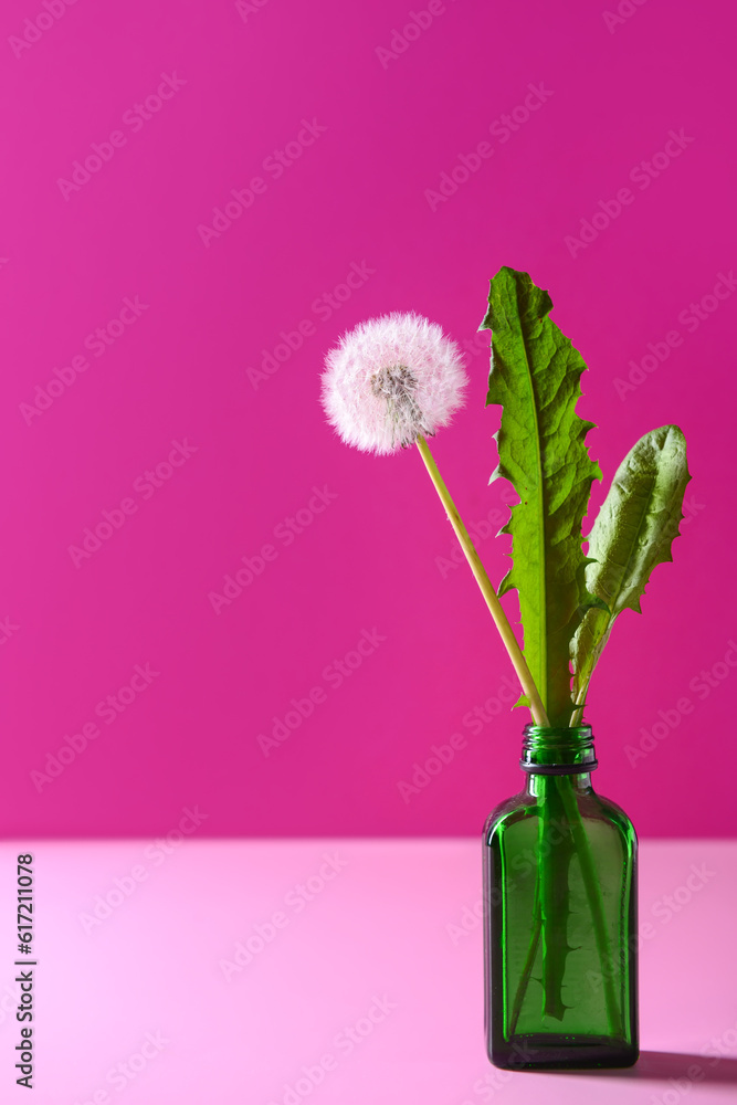 Bottle with beautiful dandelion flower and leaves on pink background