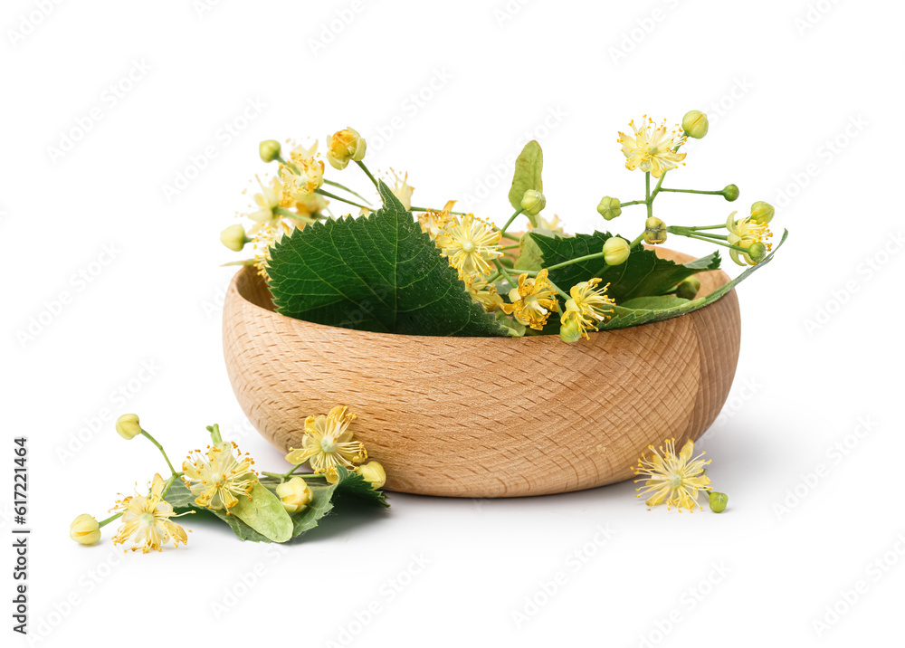 Wooden bowl with fresh linden flowers and leaves on white background