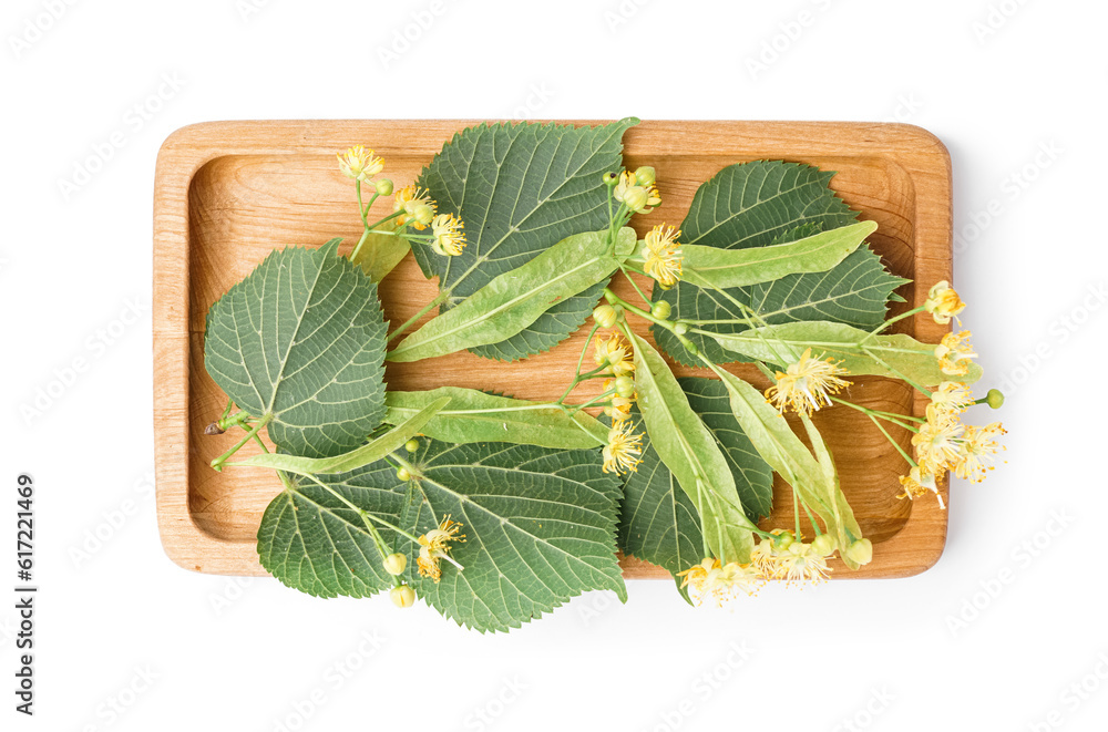 Wooden board with fresh linden flowers and leaves on white background