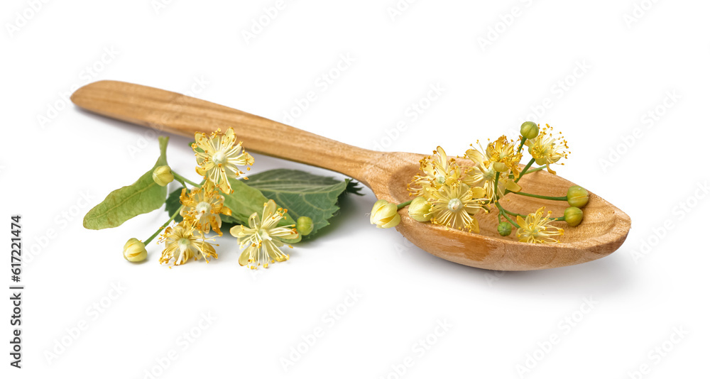 Wooden spoon with fresh linden flowers on white background