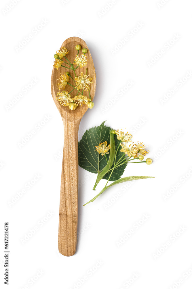 Wooden spoon with fresh linden flowers on white background