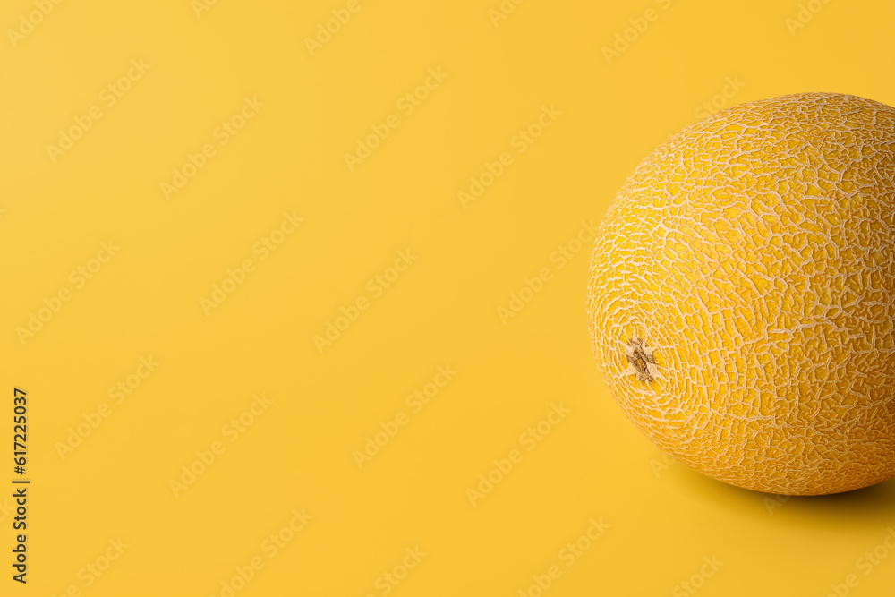 Sweet melon on yellow background