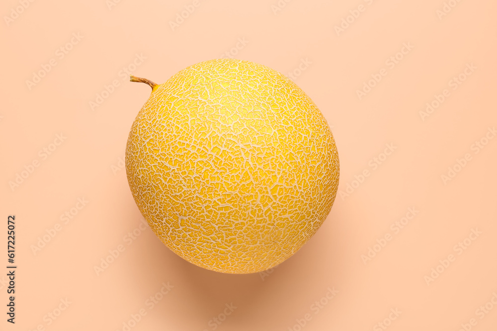 Sweet melon on orange background