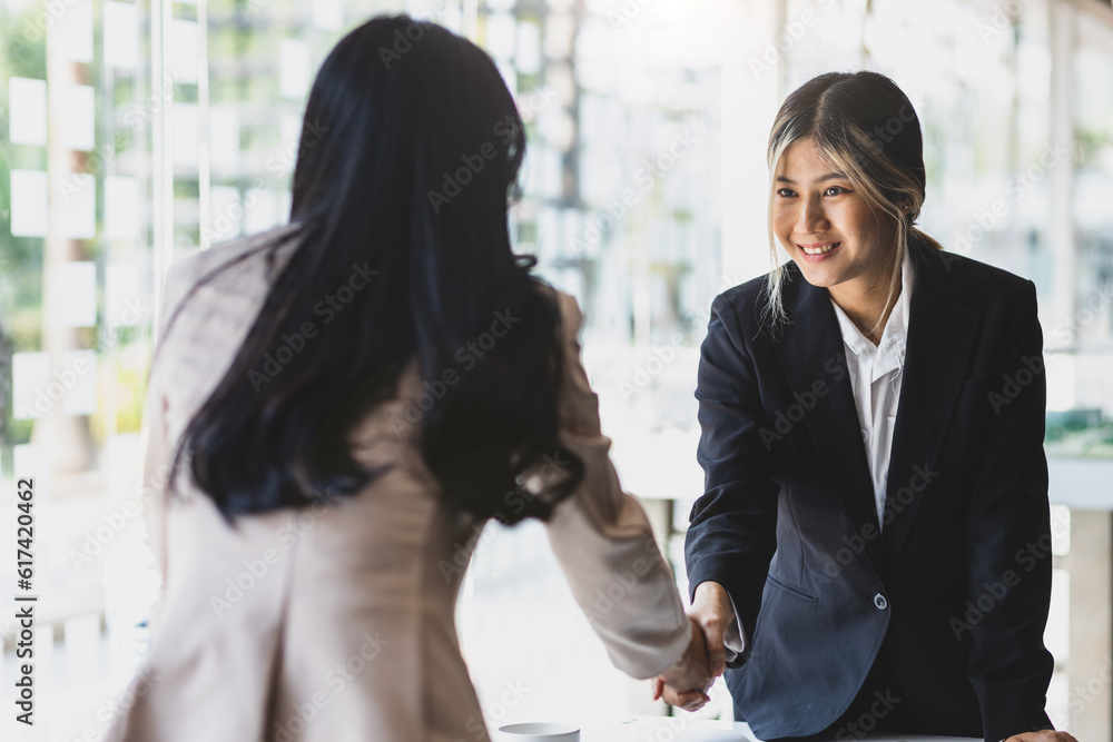 Partner, colleague, businesswoman shaking hands at business meeting, job interview.