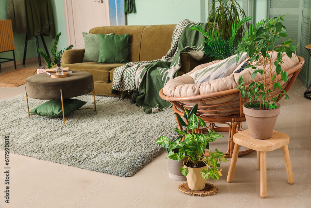 Interior of stylish living room with houseplants, sofa and armchair