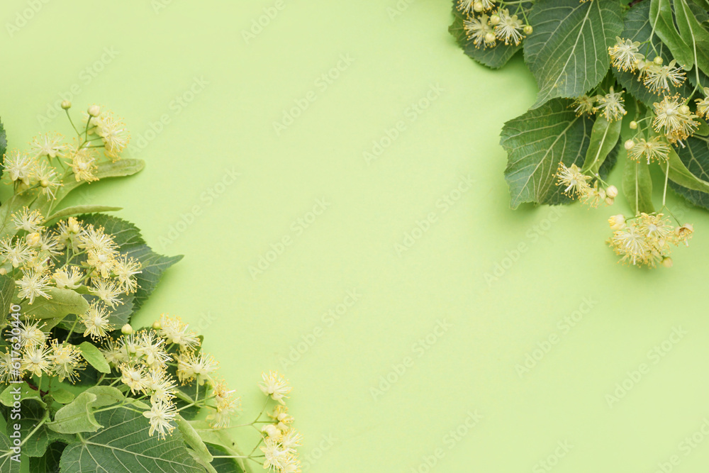 Composition with fresh linden flowers and leaves on green background