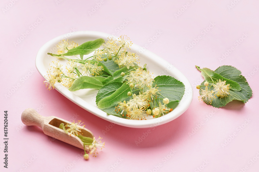 Plate with fresh linden flowers and leaves on pink background