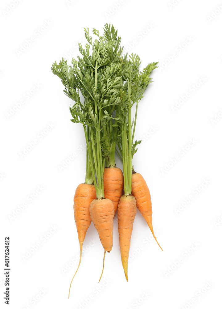 Fresh carrots on white background