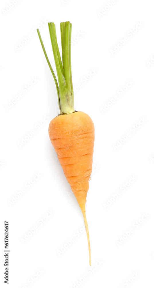 Fresh carrot on white background