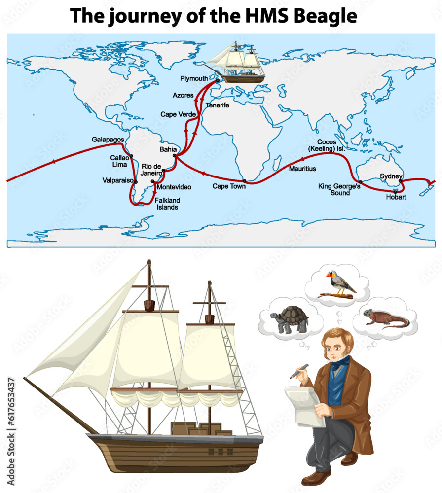 The journey of the HMS Beagle