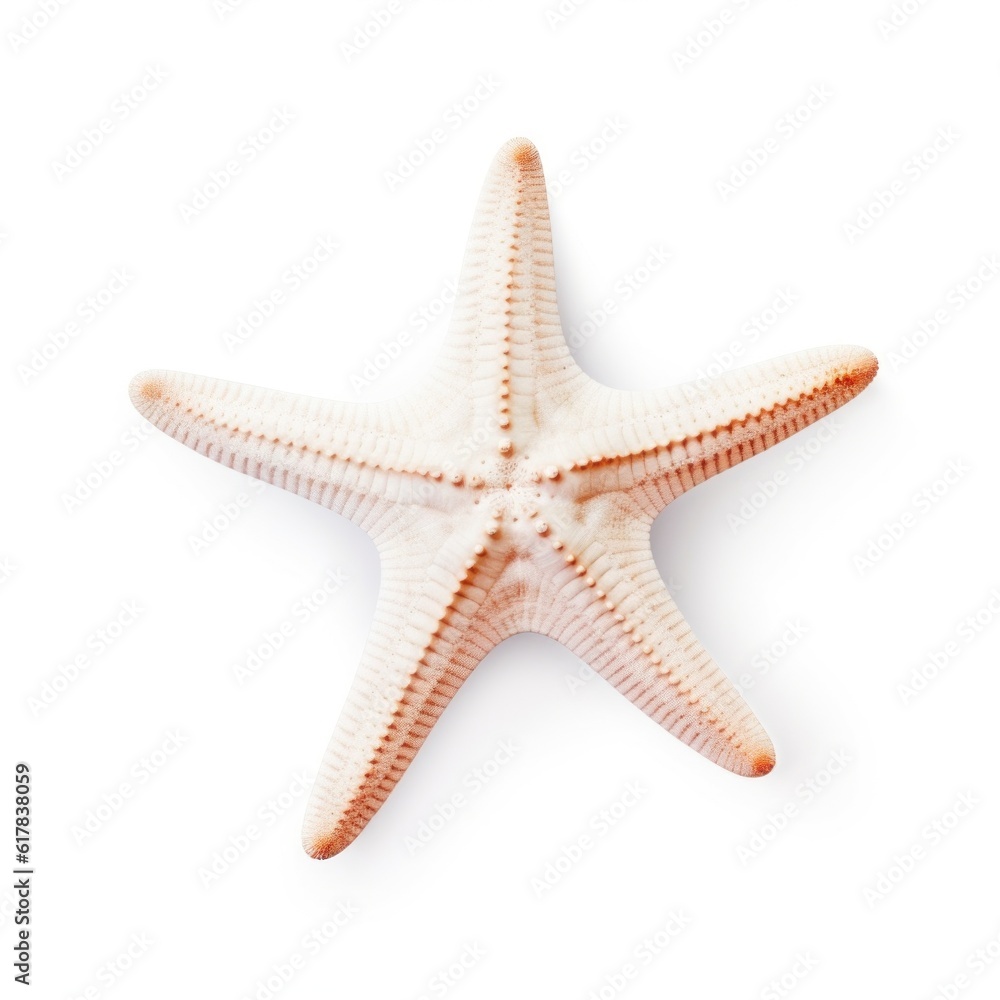 Small starfish isolated. Illustration AI Generative