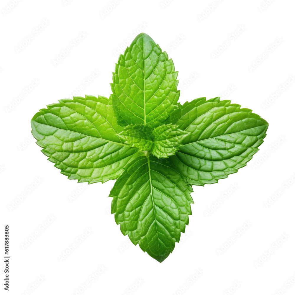 Mint leaf isolated on white. Illustration AI Generative