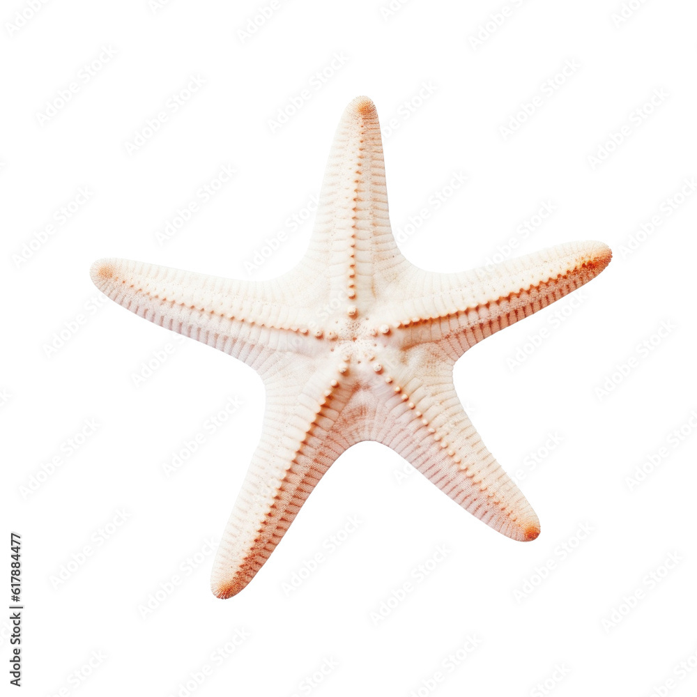 Small starfish isolated. Illustration AI Generative