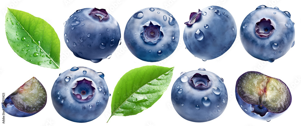 Set of bog bilberries with bloom and drops and two leaves of bog whortleberry isolated on a transpar