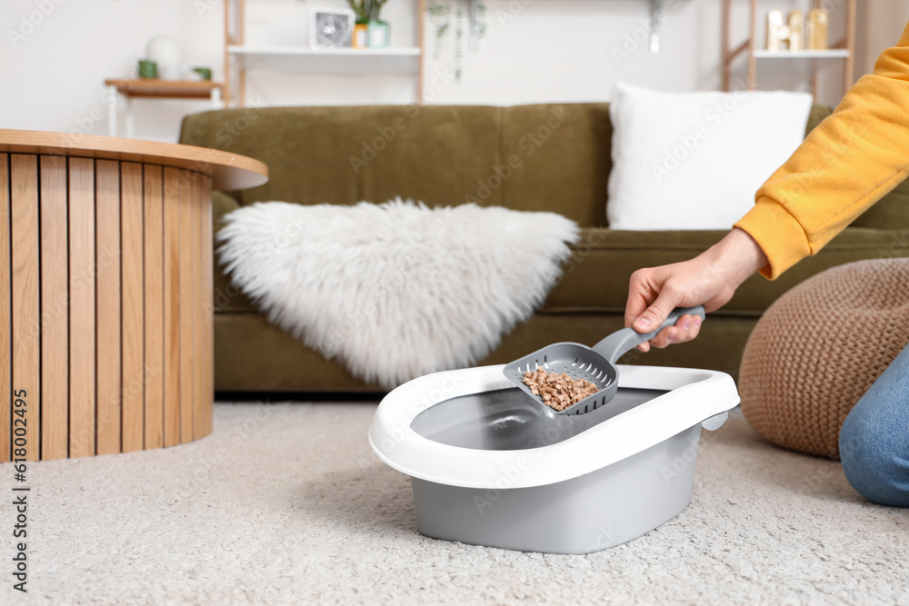 Owner cleaning cat litter box at home