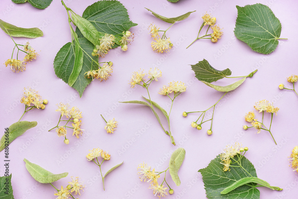 Composition with aromatic linden flowers on lilac background