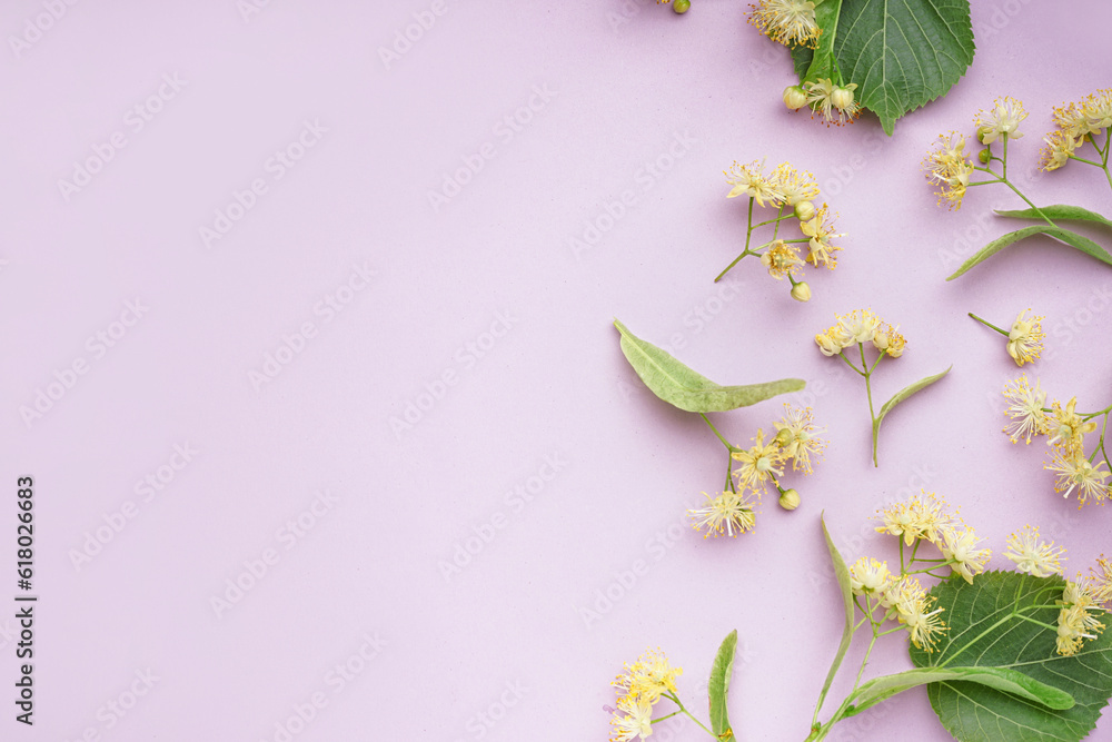 Composition with aromatic linden flowers on lilac background