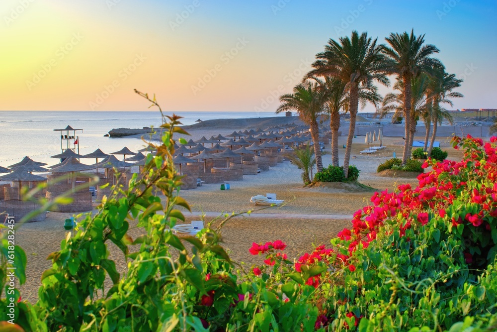 Idylic beach with palms and sun umbrelas, Red Sea, Egypt