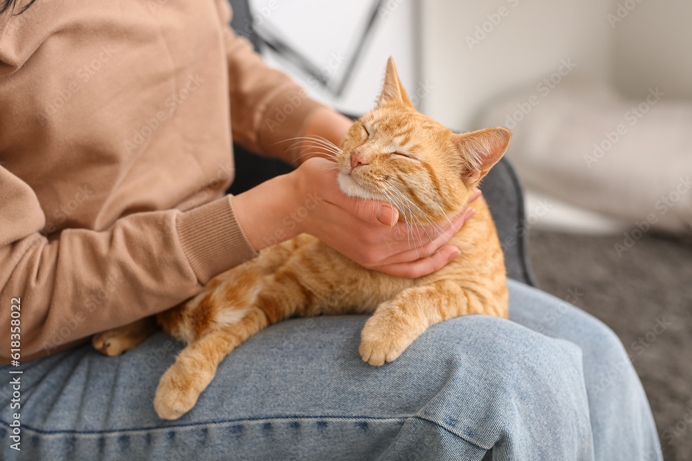 Woman with cute ginger cat at home, closeup