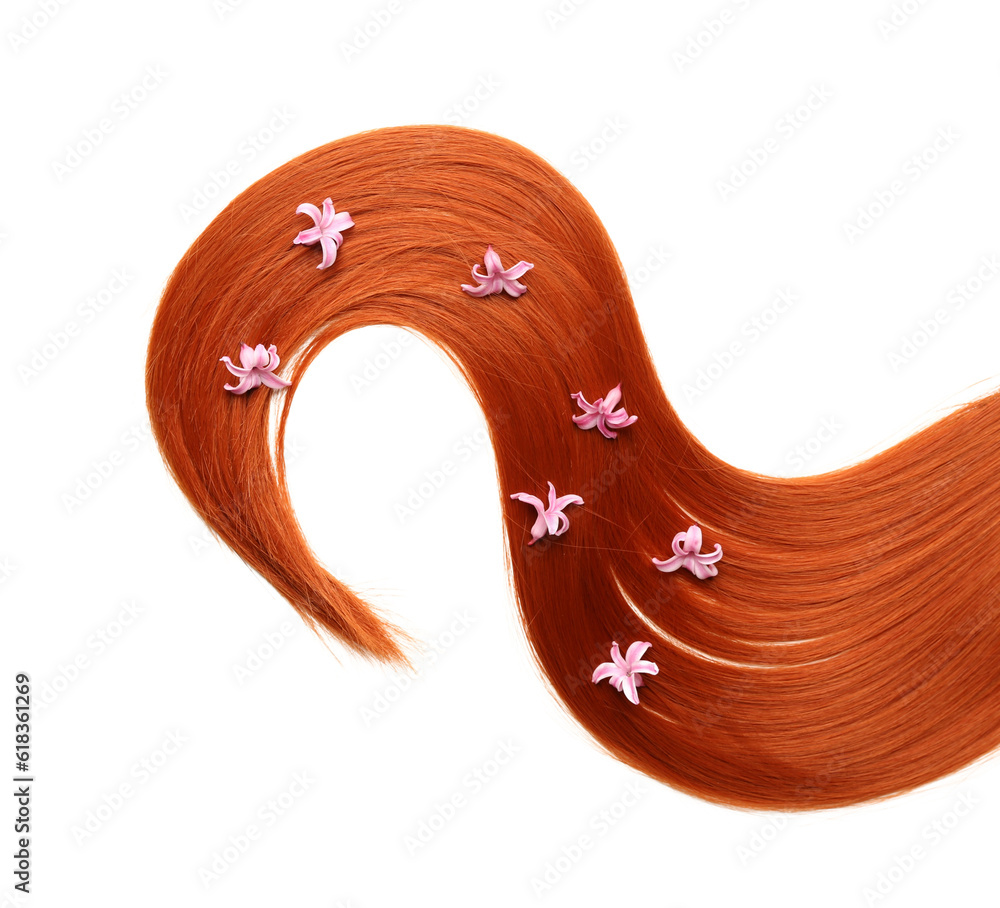 Ginger hair strand with hyacinth flowers on white background, closeup