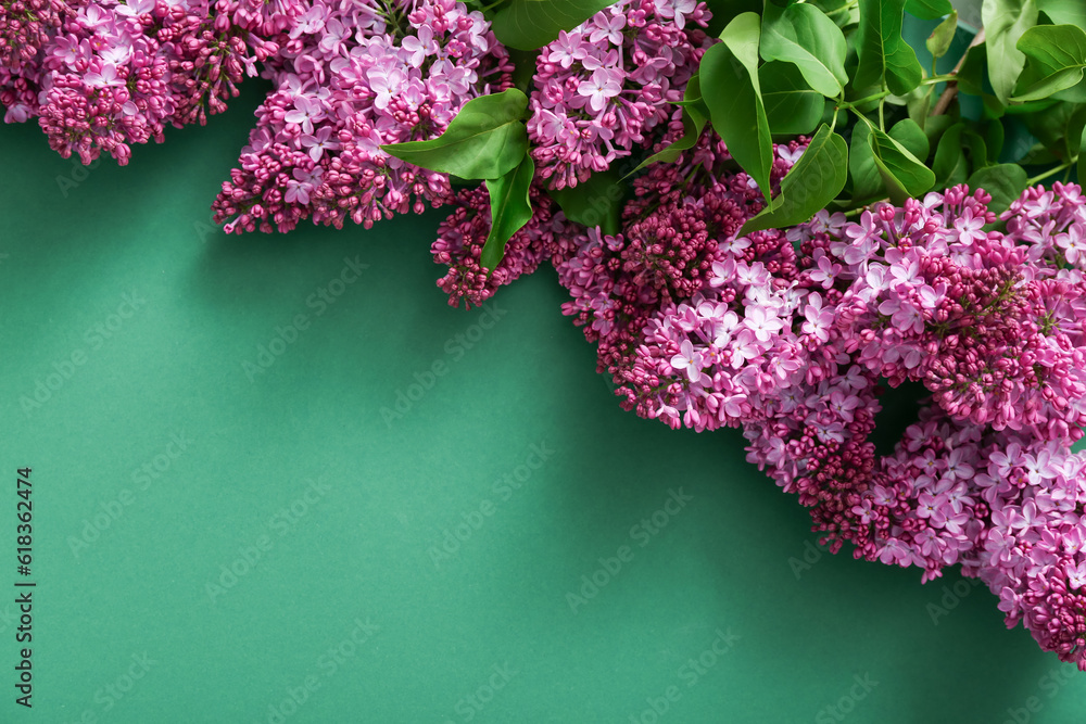 Beautiful lilac flowers on dark green background