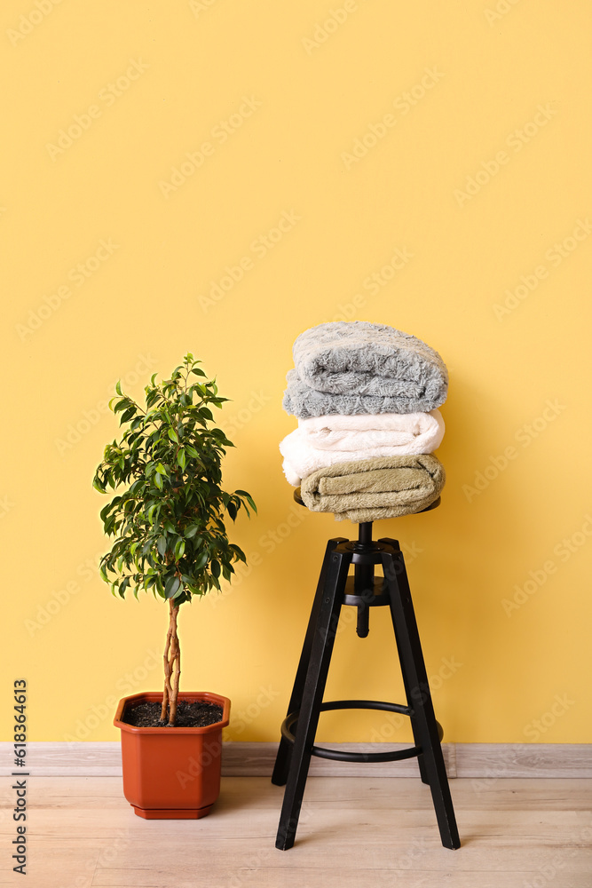 New soft blankets on chair and houseplant near yellow wall in room