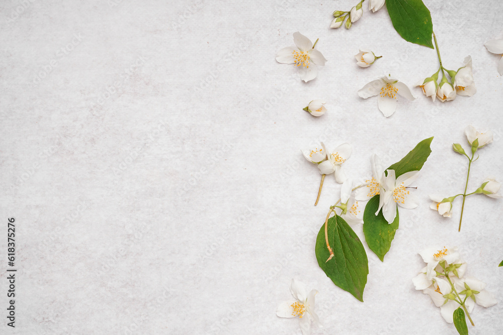 Composition with beautiful jasmine flowers and leaves on light background