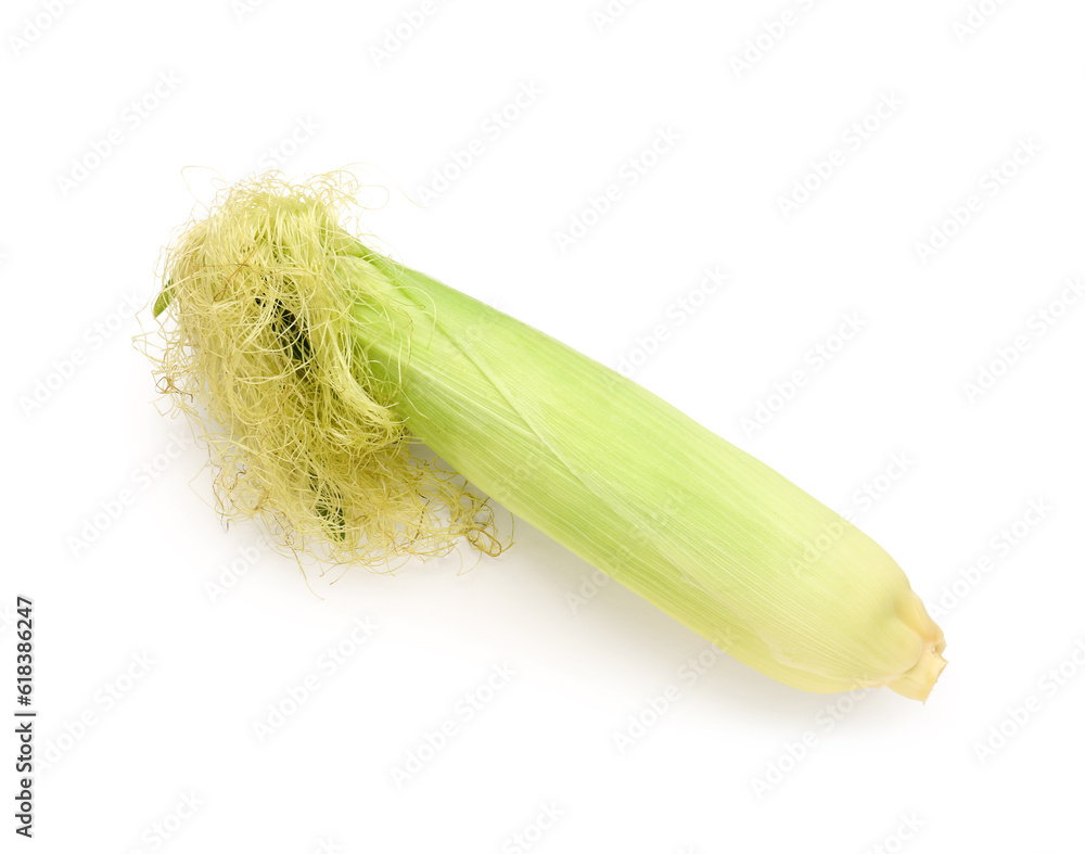 Fresh corn cob on white background