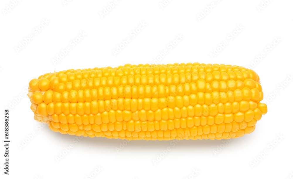 Fresh corn cob on white background