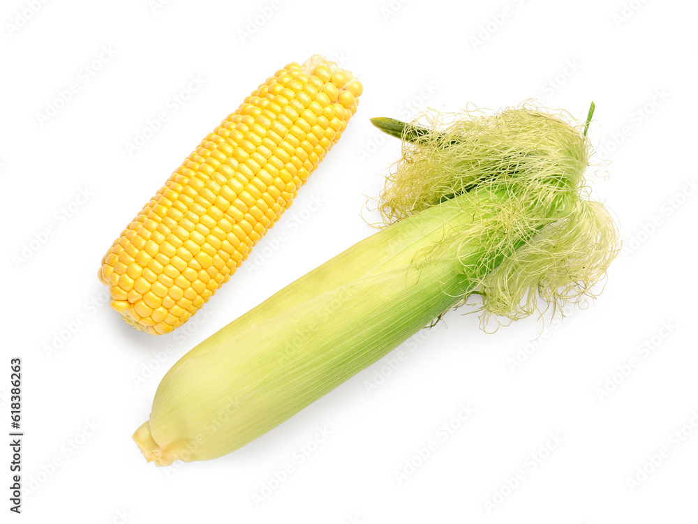 Fresh corn cobs on white background